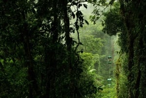 Pass giornaliero 6 in 1 per il tour Braulio Carrillo