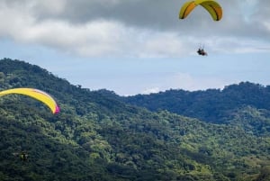 Полет на высоте 900 футов над Тихим океаном и тропическими лесами