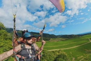 Полет на высоте 900 футов над Тихим океаном и тропическими лесами