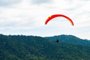 Полет на высоте 900 футов над Тихим океаном и тропическими лесами