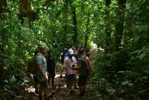 Pomeriggio Vulcano Arenal e fiume naturale delle sorgenti termali