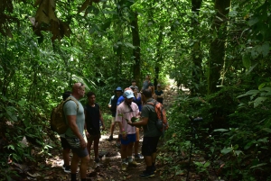 Afternoon Arenal Volcano and Natural Hot Springs River