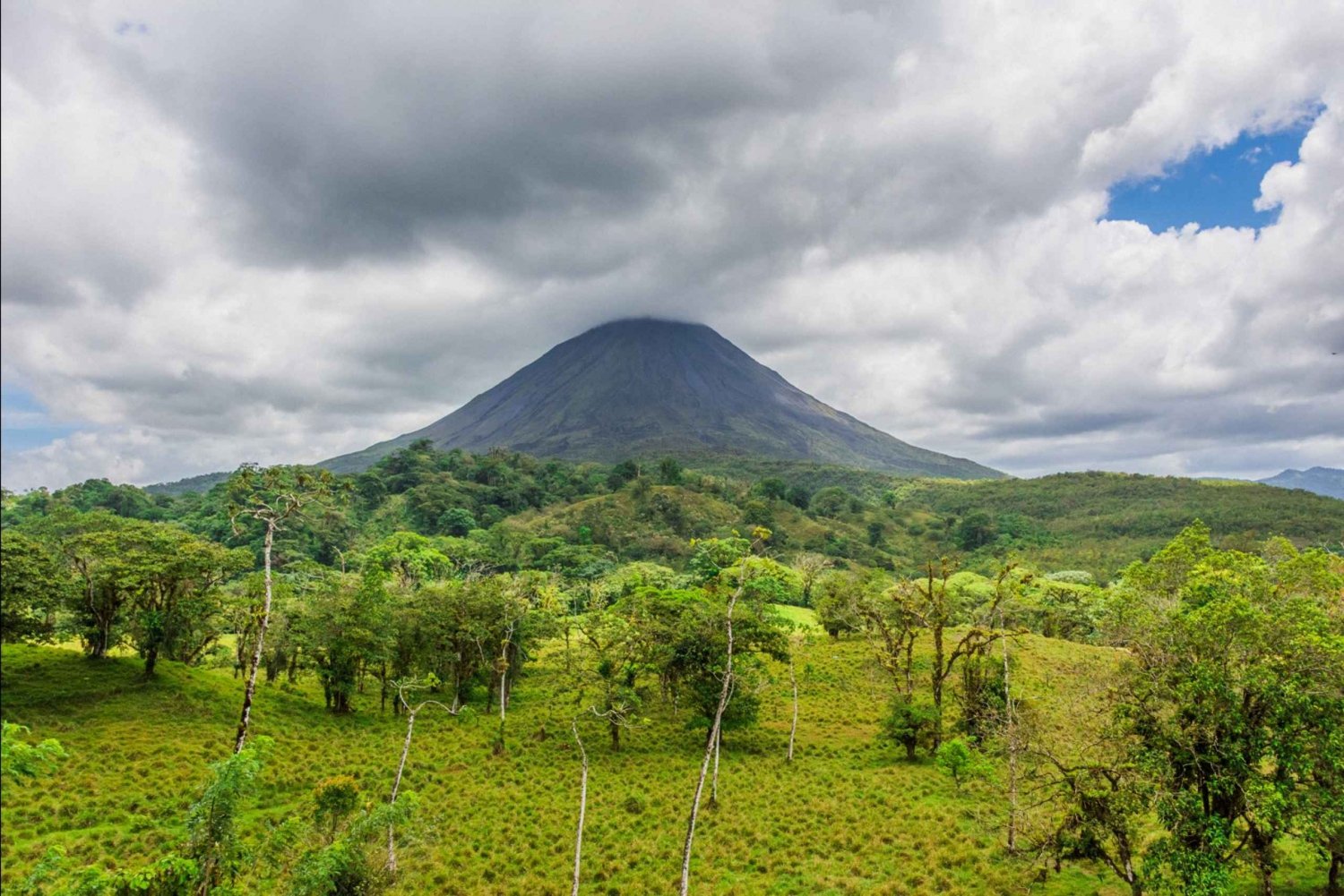 Alajuela: 4 timers vandretur i Arenals regnskov i 4 timer