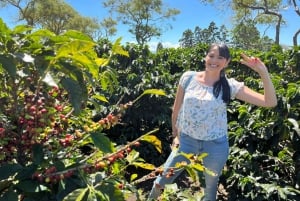 Alajuela: Wycieczka z przewodnikiem po plantacji kawy z degustacją
