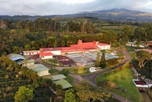 Alajuela: Guidet tur til kaffeplantage med smagning