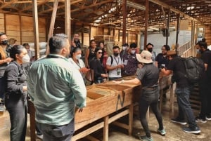 Alajuela : Visite guidée d'une plantation de café avec dégustation