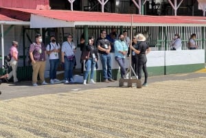 Alajuela : Visite guidée d'une plantation de café avec dégustation