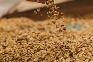 Alajuela: Guidet omvisning på kaffeplantasje med smaksprøver