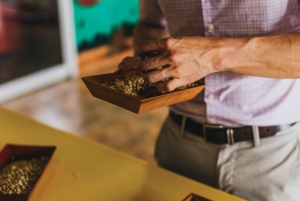 Alajuela: Guidet omvisning på kaffeplantasje med smaksprøver