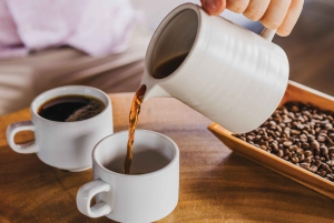 Alajuela: Guidet omvisning på kaffeplantasje med smaksprøver