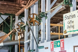 Alajuela: Guidet omvisning på kaffeplantasje med smaksprøver