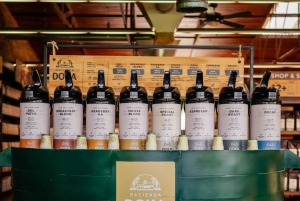 Alajuela: Guidet omvisning på kaffeplantasje med smaksprøver