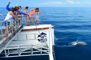 All-Inclusive Catamaran Eco Adventure with Lunch