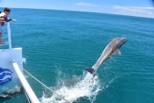 All-Inclusive Catamaran Eco Adventure with Lunch