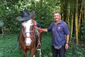 Aquiares : Promenade à cheval dans une hacienda et visite du café