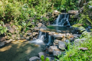 Arenal 1968: Volcano Trails & Adventures Esperienza di 2 giorni