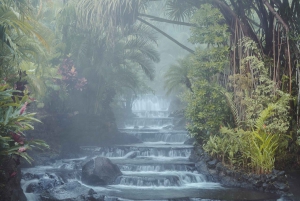 Arenal: 3-in-1 Volcano, La Fortuna Waterfall and Hot Springs