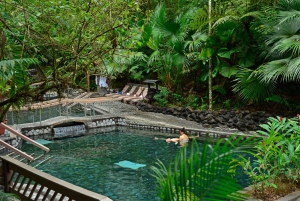 Arenal: 3-in-1 Volcano, La Fortuna Waterfall and Hot Springs