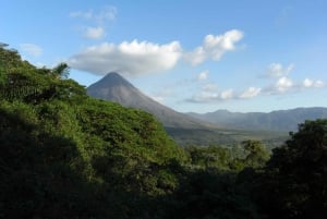 Arenal Forest: Bird Observation & Photography Tour