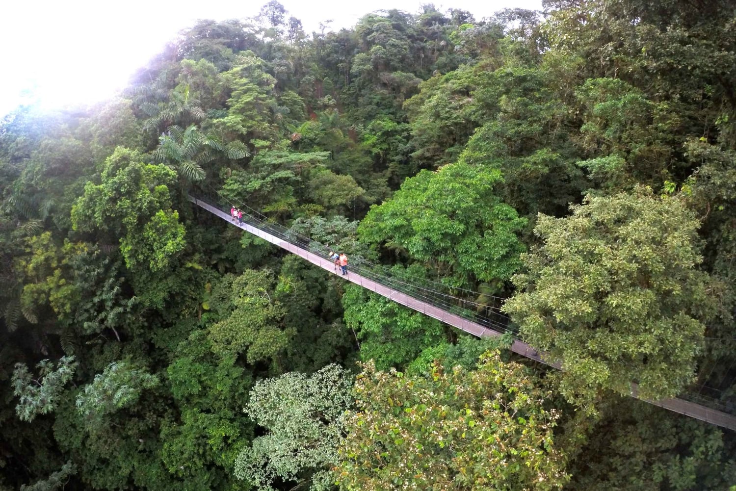 Tour de medio día a los Puentes Colgantes del Arenal desde La Fortuna
