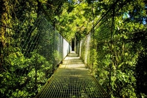 Arenal Hanging Bridges halvdagstur fra La Fortuna