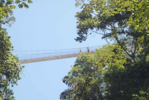 Excursão de meio dia às pontes suspensas de Arenal saindo de La Fortuna
