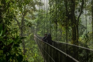 Arenal Hanging Bridges halvdagstur fra La Fortuna