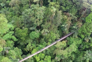 Visite d'une demi-journée des ponts suspendus d'Arenal au départ de La Fortuna