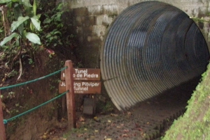 Tour de medio día a los Puentes Colgantes del Arenal desde La Fortuna
