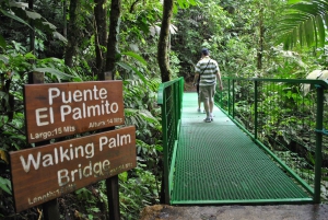 Tour de medio día a los Puentes Colgantes del Arenal desde La Fortuna