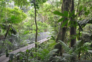 Tour de medio día a los Puentes Colgantes del Arenal desde La Fortuna