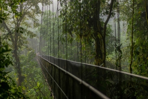 Tour de medio día a los Puentes Colgantes del Arenal desde La Fortuna