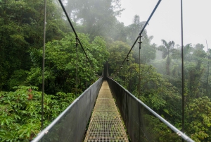 Tour de medio día a los Puentes Colgantes del Arenal desde La Fortuna