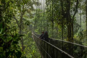 Tour de medio día a los Puentes Colgantes del Arenal desde La Fortuna