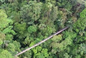 Tour de medio día a los Puentes Colgantes del Arenal desde La Fortuna