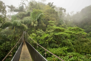 Tour de medio día a los Puentes Colgantes del Arenal desde La Fortuna