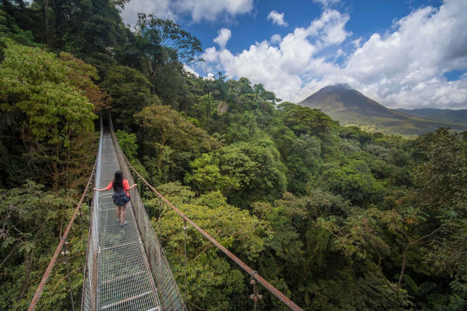 Arenal Hanging Bridges Park + La Fortuna Waterfall and Lunch
