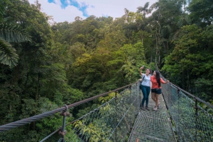 Arenal Hanging Bridges Park + La Fortuna-fossen og lunsj