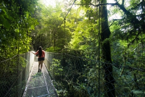 Arenal Hanging Bridges Park + La Fortuna-fossen og lunsj