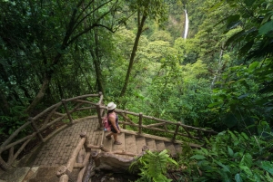 Parc des ponts suspendus d'Arenal + cascade de La Fortuna et déjeuner