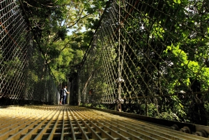 Parc des ponts suspendus d'Arenal + cascade de La Fortuna et déjeuner
