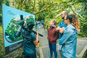 Arenal: Hanging Bridges Walking Tour