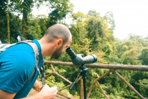 Arenal: Hanging Bridges Walking Tour