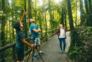 Arenal: Wanderung über die Hängebrücken