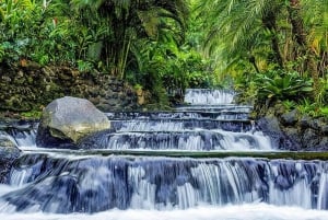 Arenal: Hangbruggen, waterval, vulkaan & warmwaterbronnen