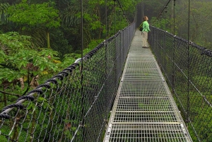 Arenal: Hangbruggen, waterval, vulkaan & warmwaterbronnen