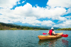 Arenal Lake: Kayaking and Bird Watching Experience
