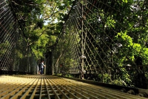 Arenal National Park: Hanging Bridges Small Group Tour