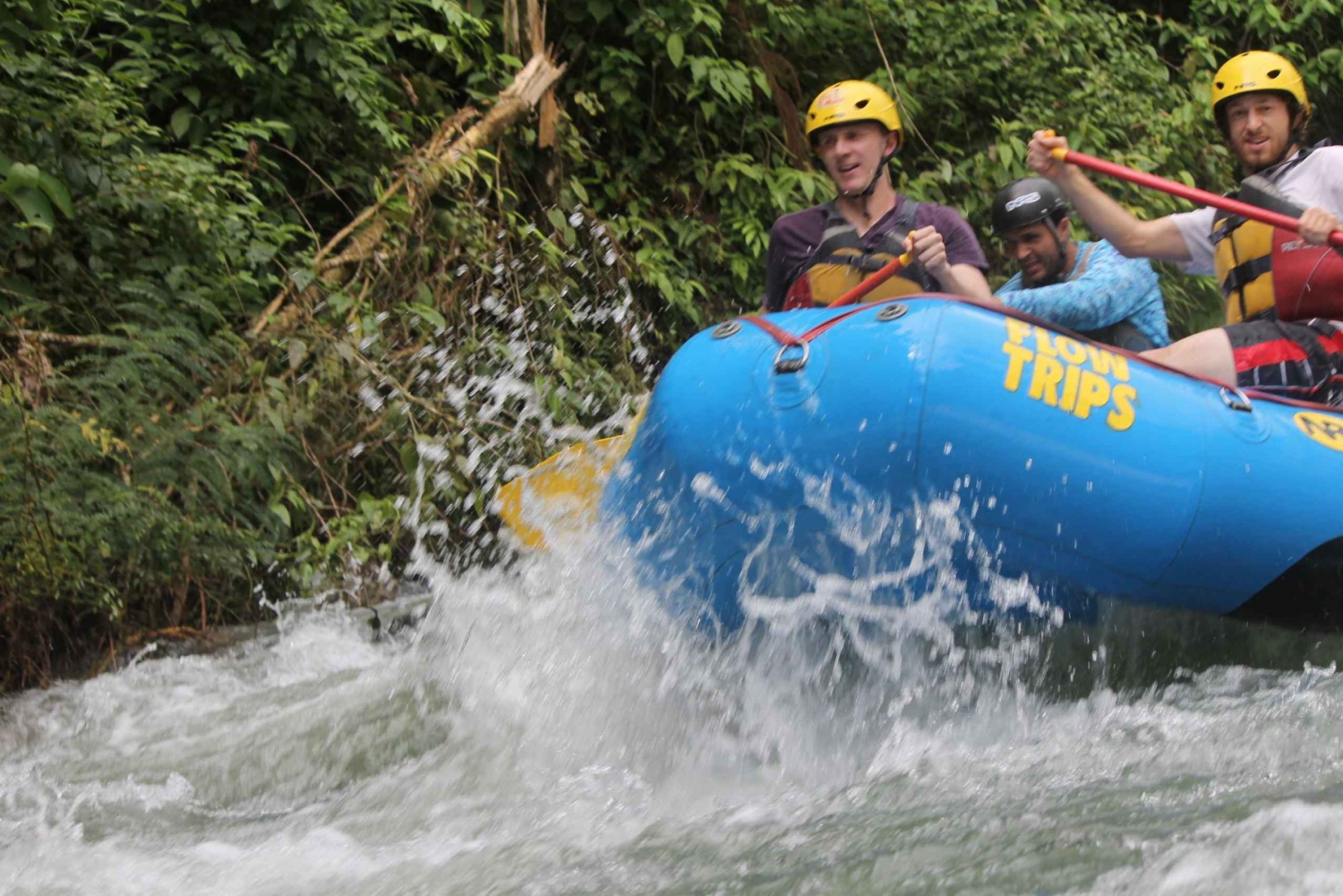 Arenal: Rafting Sarapiqui River Day Tour - Class II-III