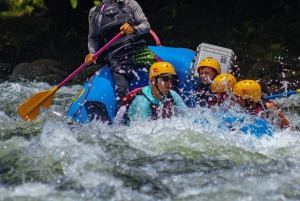 Arenal: Rafting Sarapiqui River Day Tour - klasa II-III